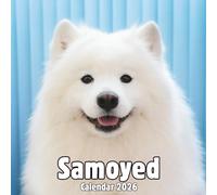 Samoyed Calendar 2026: 14-Month Organizer from Nov 2025 to Dec 2026 | Perfect for Home, Office, School & Family Scheduling, For Men , Women , Girls , Boys