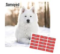 Samoyed Calendar 2026 | Square Dog Breed Wall Calendar | 16 Month Wall Calendar | September 2025 To December 2026 | With Free Organisational Stickers, Samoyed Gift