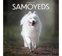 Samoyed Calendar 2027: Dog Portraits and Breed Scenes