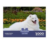 Samoyed Jigsaw Puzzles 1000 Piece | for Adults Teens White Samoyed Lies on Grass Amid Colorful Flowers Impossible Hard Puzzle & Gift 52x38cm/1000pcs