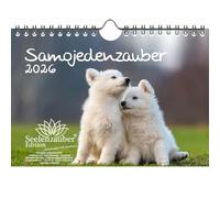 Samoyed Magic DIN A5 Calendar for 2026 Puppies and Dogs - Gift Set Contents: 1 x Calendar, 1 x Christmas Pendant (Total 2 Pieces)