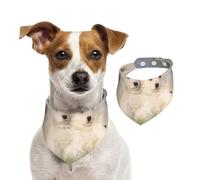 Samoyed Puppies White Dogs Family Small Samoyed,Dog Bandanas Cotton Pet Scarf Adjustable Bibs for Pet,M