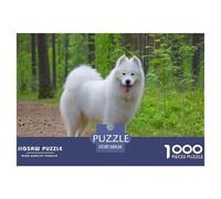 Samoyed Puzzle for Adults 14-99 Years: White Samoyed Stands on A Forest Path Tongue Out Educational Game for Home Decor & Gifts 38x26cm/1000pcs