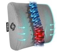 Samsonite SA5244 Ergonomic Lumbar Support Pillow Helps Relieve Lower Back Pain 100% Pure Memory Foam Improves Posture Fits Most Seats Breathable Mesh Washable Cover Adjustable Strap