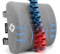 Samsonite SA5244 Ergonomic Lumbar Support Pillow Helps Relieve Lower Back Pain 100% Pure Memory Foam Improves Posture Fits Most Seats Breathable Mesh Washable Cover Adjustable Strap