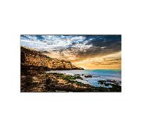 Samsung 55" QET Crystal UHD 4K Digital Signage Display QE55T - LH55QETELGCXEN - New - Open Boxed