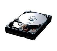 Samsung HD320LJ Spinpoint T Internal Hard Drive 320 GB, Serial ATA II
