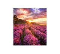SAMSUNG LED - IF-E 1.5MM CABINETS