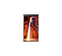 Samsung OM55N-DS 55" double-sided outdoor LED flat screen