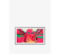 Samsung Samsung The Frame Pro Neo QLED 65In Ai Smart TV