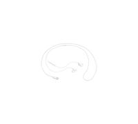 Samsung USB Type-C Earphones EO-IC100BBEGWW Black (White)