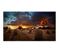 Samsung Vm46B-U 46" Lcd Digital Signage Display 24 Hours/7 Days Operation In-Pla