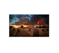 Samsung VM55B-U LED Indoor