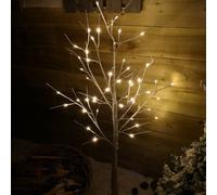 Samuel Alexander 1.2m (4ft) Indoor Outdoor Christmas Lit Birch Tree with 48 Warm White LEDs Samuel Alexander White