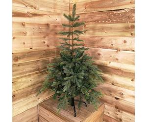 Samuel ALEXANDER 120cm (4ft) Green Grandis Fir Real Look Christmas Tree with 575 Tips