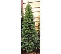 Samuel Alexander 150Cm (5Ft) Newfoundland Slim Pine Christmas Tree 86Cm Diameter