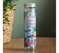 25g Icicles on Spruce Scented Christmas Scentsicles with 6 Hanging Hooks