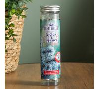 Samuel Alexander 25g Icicles on Spruce Scented Christmas Scentsicles with 6 Hanging Hooks