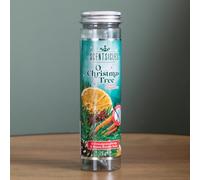 Samuel Alexander 25G O Christmas Tree Scented Christmas Scentsicles With 6 Hanging Hooks