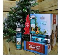 Samuel Alexander 25g O Christmas Tree Scented Christmas Scentsicles with 6 Hanging Hooks in Green Samuel Alexander Green