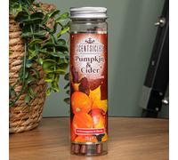 Samuel Alexander 25G Pumpkin And Cider Scented Christmas Scentsicles With 6 Hanging Hooks