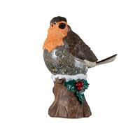 Samuel Alexander 26cm Light up Christmas Robin Water Spinner with Warm White LEDs Samuel Alexander Multicolor