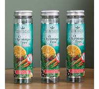 Samuel Alexander 3 Packs Of 25G O Christmas Tree Scented Christmas Scentsicles With Hanging Hooks