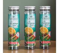 Samuel Alexander 3 Packs of 25g O Christmas Tree Scented Christmas Scentsicles with Hanging Hooks in Green Samuel Alexander Green