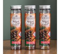 Samuel Alexander 3 Packs of 25g Spiced Pine Cones Scented Christmas Scentsicles with Hanging Hooks Samuel Alexander Multicolor