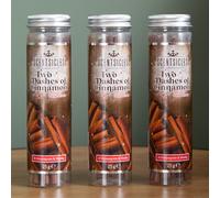 Samuel Alexander 3 Packs of 25g Two Dashes of Cinnamon Scented Christmas Scentsicles with 6 Hanging Hooks in Green Samuel Alexander Green