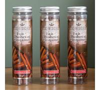 Samuel Alexander 3 Packs Of 6 Scentsicles Scented Hanging Ornaments Sticks Two Dashes Of Cinnamon