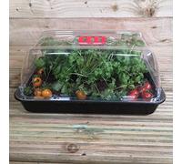 Samuel ALEXANDER 4 x 38cm Unheated Seed Starter Tray Grostart Midi Propagator Indoor Seedling Planter