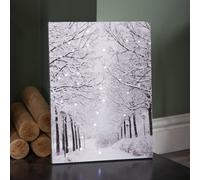 Samuel Alexander 40 X 30Cm Touch Operated Christmas Winter Avenue Fibre Optic Light Up Wall Canvas
