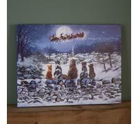 Samuel Alexander 40 X 30Cm Touch Operated Fibre Optic Christmas Wall Art Canvas With Cat Scene