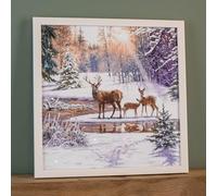Samuel ALEXANDER Battery Operated 40cm x 40cm Light up Family of Deers Christmas Canvas with LEDs