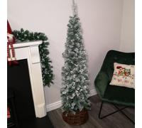 Samuel Alexander 5.5Ft (1.7M) Premier Snow Flocked Spruce Pine Slim Christmas Tree In Green