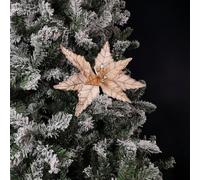 Samuel Alexander 50Cm Champagne Velvet Poinsettia Stem With Glitter Christmas Decoration