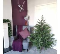 Samuel Alexander 5Ft (153Cm) Premier Christmas Tree Glenshee Spruce Peorpvc Natural Look