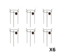 Samuel Alexander 6 Pack of Small 60cm x 35cm Heavy Duty Black Steel Herbaceous Garden Plant Support Ring