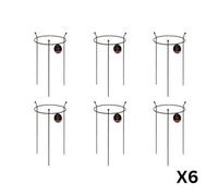 Samuel Alexander 6 Pack Of Small 60Cm X 35Cm Heavy Duty Black Steel Herbaceous Garden Plant Support Ring