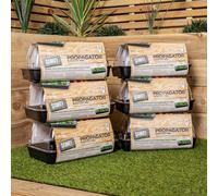 Samuel Alexander 6 X 38Cm Unheated Seed Starter Tray Grostart Midi Propagator Indoor Seedling Planter