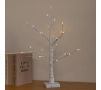Samuel Alexander 60Cm Battery Powered Light Up Christmas Birch Tree With 24 Warm White Leds