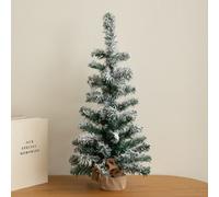 Samuel Alexander 60Cm Snowy Mini Fir Christmas Tree With Jute Bag Stand
