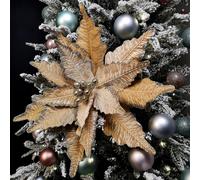 Samuel Alexander 68cm Champagne Gold Velvet Poinsettia Stem Christmas Decoration