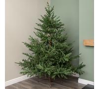 Samuel Alexander 7ft (2.1m) Artificial Glenshee Spruce Green Christmas Tree with Metal Stand Samuel Alexander Green