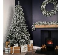 Samuel Alexander 7Ft (2.1M) Snow Flocked Woodcote Spruce Artificial Christmas Tree