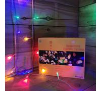 8m Multi Coloured Connectable Christmas Outdoor 80 String LED Lights - Multicolour
