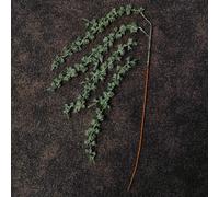 Samuel Alexander 96cm Green Glitter Frosted Mini Leaf Wispy Christmas Stem Decoration Samuel Alexander Green