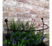 Samuel Alexander Cottage Heavy Duty Black Metal Steel Herbaceous Garden Plant Support Arc Small 60Cm X 36Cm