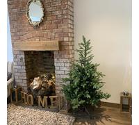 Samuel ALEXANDER Everlands 150cm (5ft) Green Grandis Fir Real Look Christmas Tree 1038 Tips